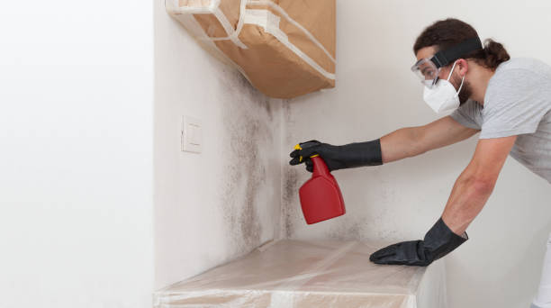 Professional Mold Remediation technician working in Chatham, VA